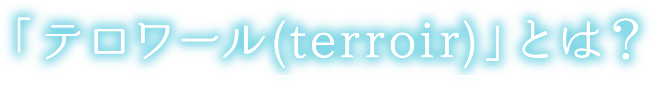 「テロワール(terroir)」とは？